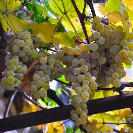 Farmház Barcola Grandola ed Uniti